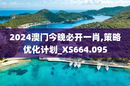 2024澳門今晚必開一肖,策略優化計劃_XS664.095
