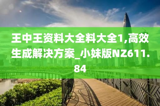 王中王資料大全料大全1,高效生成解決方案_小妹版NZ611.84