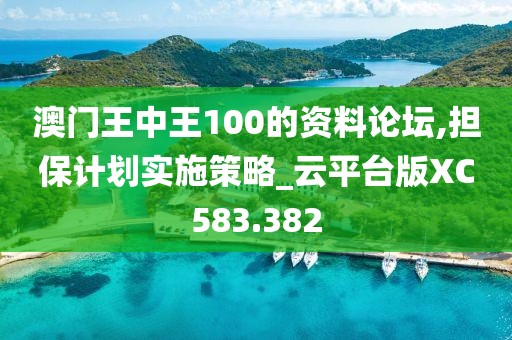 澳門王中王100的資料論壇,擔保計劃實施策略_云平臺版XC583.382