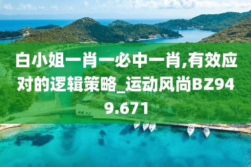 白小姐一肖一必中一肖,有效應對的邏輯策略_運動風尚BZ949.671