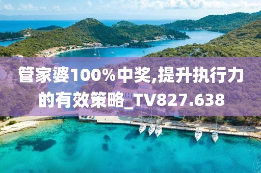 管家婆100%中獎,提升執行力的有效策略_TV827.638