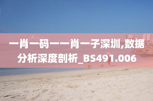 一肖一碼一一肖一子深圳,數據分析深度剖析_BS491.006