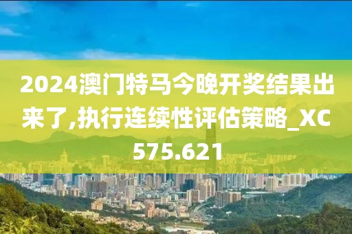 2024澳門特馬今晚開獎結果出來了,執行連續性評估策略_XC575.621