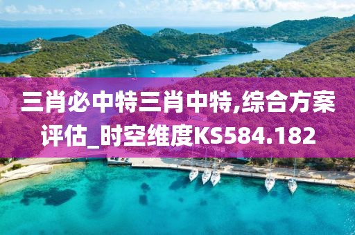 三肖必中特三肖中特,綜合方案評估_時空維度KS584.182