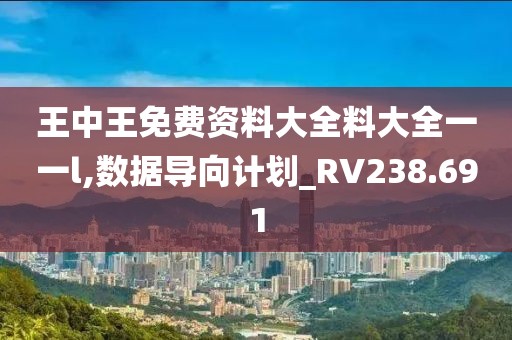 王中王免費資料大全料大全一一l,數據導向計劃_RV238.691