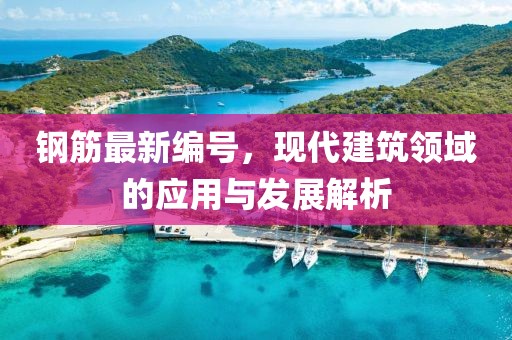 鋼筋最新編號，現代建筑領域的應用與發展解析