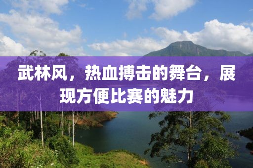 武林風，熱血搏擊的舞臺，展現方便比賽的魅力