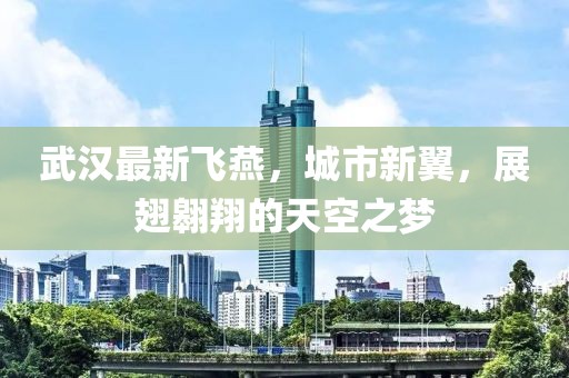 武漢最新飛燕，城市新翼，展翅翱翔的天空之夢