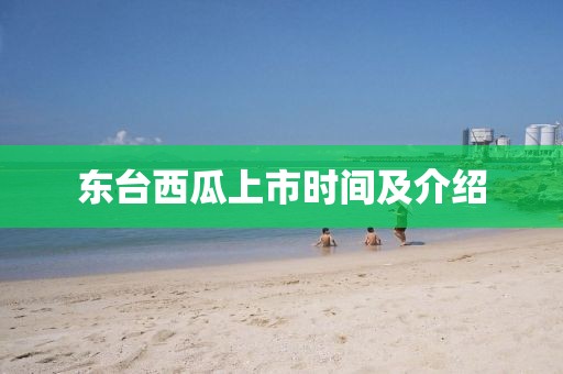 東臺西瓜上市時間及介紹
