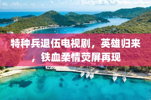 特種兵退伍電視劇，英雄歸來，鐵血柔情熒屏再現