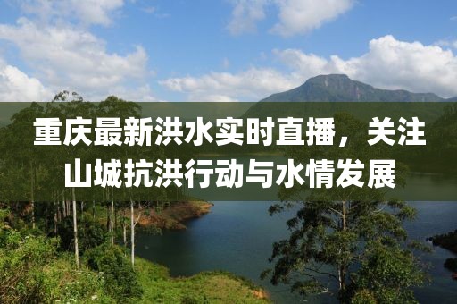 重慶最新洪水實時直播，關注山城抗洪行動與水情發展