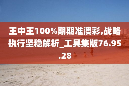 王中王100%期期準澳彩,戰略執行堅穩解析_工具集版76.95.28