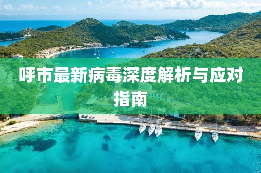 呼市最新病毒深度解析與應對指南