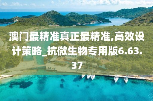 澳門最精準真正最精準,高效設計策略_抗微生物專用版6.63.37
