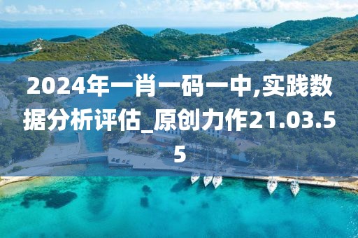 2024年一肖一碼一中,實踐數據分析評估_原創力作21.03.55