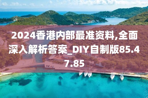 2024香港內部最準資料,全面深入解析答案_DIY自制版85.47.85