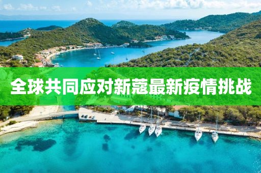 全球共同應對新蔻最新疫情挑戰