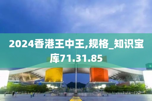 2024香港王中王,規格_知識寶庫71.31.85