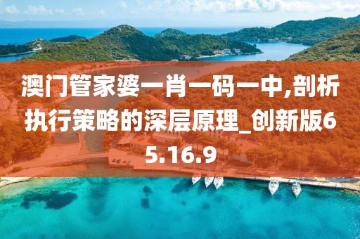 澳門管家婆一肖一碼一中,剖析執行策略的深層原理_創新版65.16.9