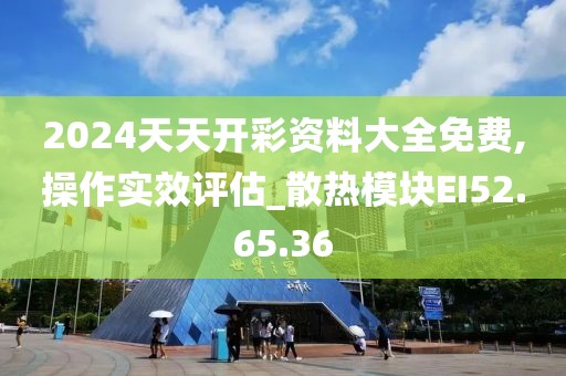 2024天天開彩資料大全免費,操作實效評估_散熱模塊EI52.65.36