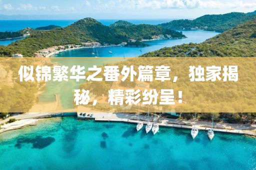 似錦繁華之番外篇章，獨家揭秘，精彩紛呈！