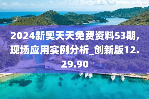 2024新奧天天免費資料53期,現場應用實例分析_創新版12.29.90