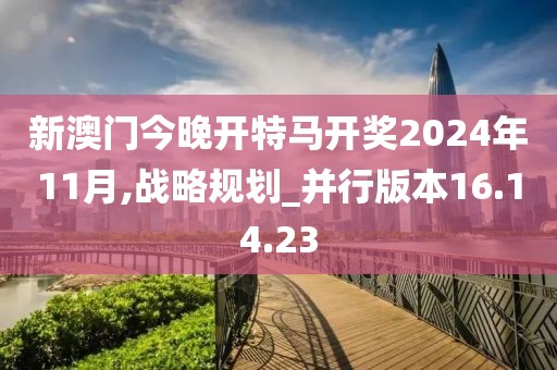 新澳門今晚開特馬開獎2024年11月,戰略規劃_并行版本16.14.23