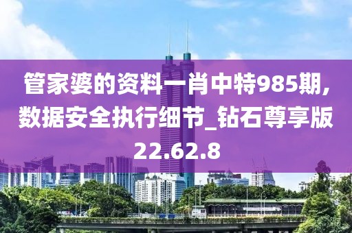 管家婆的資料一肖中特985期,數據安全執行細節_鉆石尊享版22.62.8