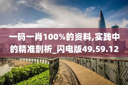 一碼一肖100%的資料,實踐中的精準剖析_閃電版49.59.12