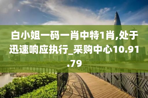 白小姐一碼一肖中特1肖,處于迅速響應執行_采購中心10.91.79