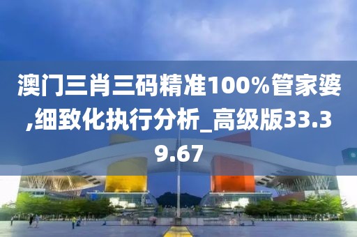 澳門三肖三碼精準100%管家婆,細致化執行分析_高級版33.39.67