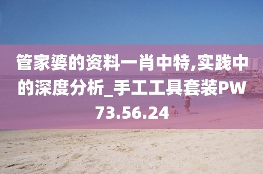 管家婆的資料一肖中特,實踐中的深度分析_手工工具套裝PW73.56.24