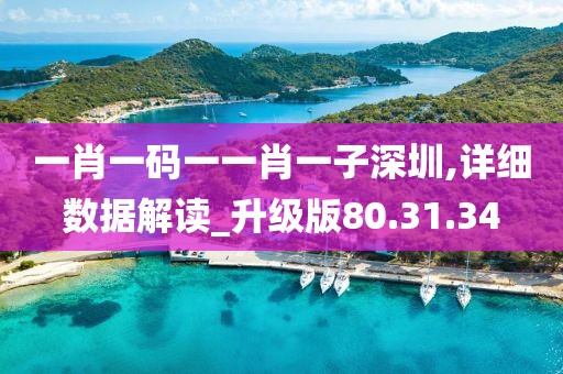 一肖一碼一一肖一子深圳,詳細數據解讀_升級版80.31.34