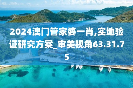 2024澳門管家婆一肖,實地驗證研究方案_審美視角63.31.75
