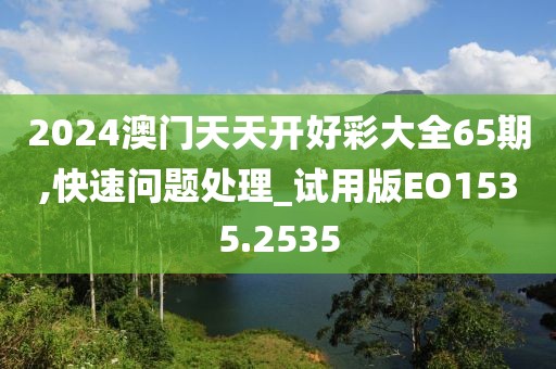 2024澳門天天開好彩大全65期,快速問題處理_試用版EO1535.2535