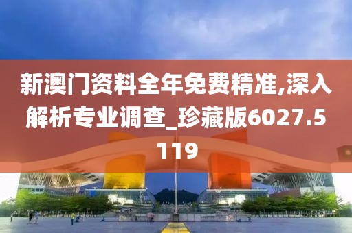 新澳門資料全年免費精準,深入解析專業調查_珍藏版6027.5119