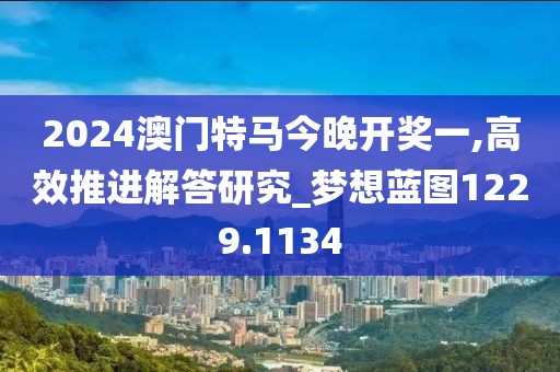 2024澳門特馬今晚開獎一,高效推進解答研究_夢想藍圖1229.1134