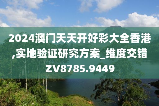 2024澳門天天開好彩大全香港,實地驗證研究方案_維度交錯ZV8785.9449