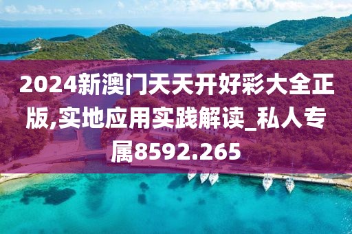 2024新澳門天天開好彩大全正版,實地應用實踐解讀_私人專屬8592.265