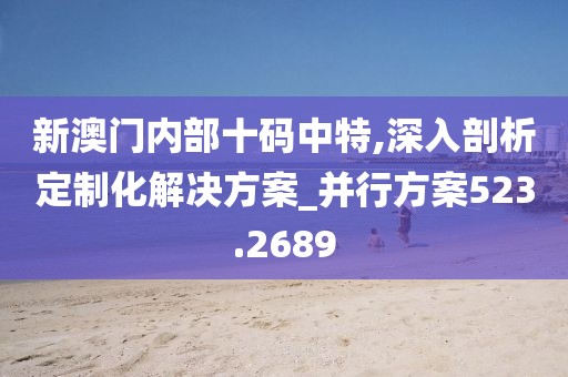 新澳門內部十碼中特,深入剖析定制化解決方案_并行方案523.2689