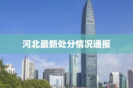 河北最新處分情況通報