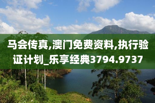 馬會傳真,澳門免費資料,執行驗證計劃_樂享經典3794.9737