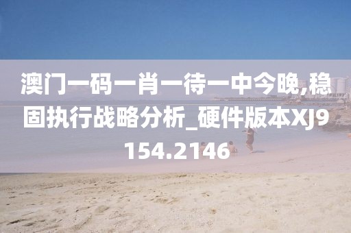 澳門一碼一肖一待一中今晚,穩固執行戰略分析_硬件版本XJ9154.2146