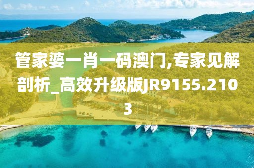 管家婆一肖一碼澳門,專家見解剖析_高效升級版JR9155.2103