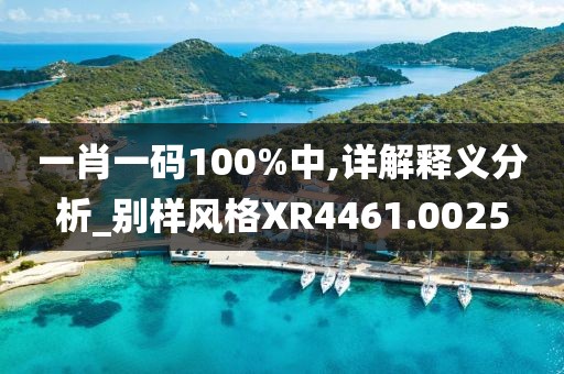 一肖一碼100%中,詳解釋義分析_別樣風格XR4461.0025
