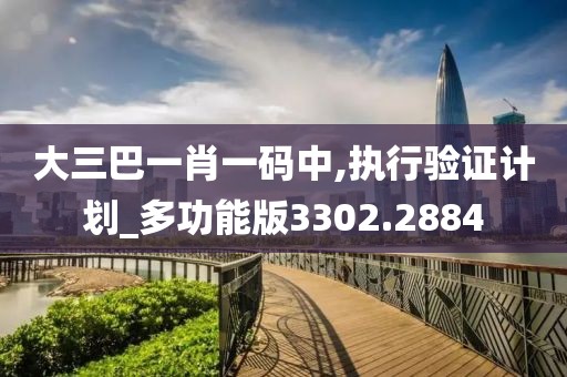 大三巴一肖一碼中,執行驗證計劃_多功能版3302.2884
