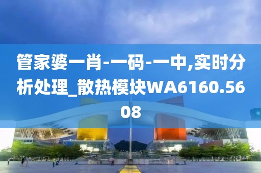 管家婆一肖-一碼-一中,實時分析處理_散熱模塊WA6160.5608