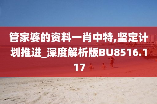 管家婆的資料一肖中特,堅定計劃推進_深度解析版BU8516.117