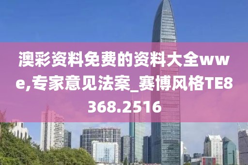 澳彩資料免費的資料大全wwe,專家意見法案_賽博風格TE8368.2516