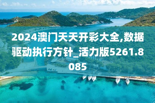 2024澳門天天開彩大全,數據驅動執行方針_活力版5261.8085